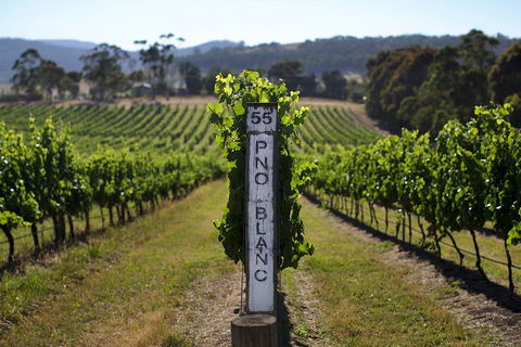 Mornington Peninsula 2-6 Guests Lunch Rare Hare Or Merricks General Wine Store - Whitsundays Accommodation 5