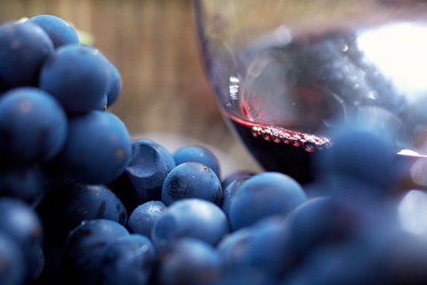 Mornington Peninsula Premium 2-6 Guests Lunch At Merricks General Wine Store - Whitsundays Accommodation 7