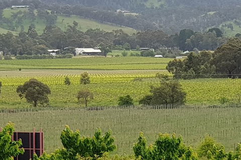 Yarra Valley Wineries And Rayners Orchard Tour From Melbourne - Whitsundays Accommodation 2
