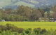 Day Tour Of Yarra Valley Puffing Billy And Rayners Orchard - thumb 44