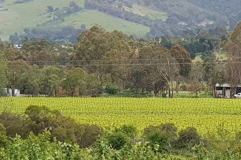 Day Tour Of Yarra Valley Puffing Billy And Rayners Orchard - Whitsundays Accommodation 44