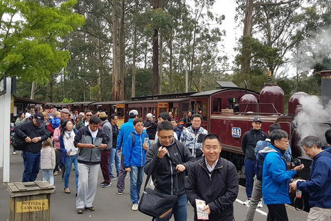 Day Tour Of Yarra Valley Puffing Billy And Rayners Orchard - Whitsundays Accommodation 3