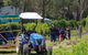 Day Tour Of Yarra Valley Puffing Billy And Rayners Orchard - thumb 10