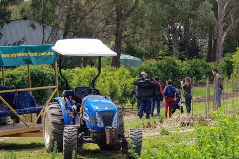 Day Tour Of Yarra Valley Puffing Billy And Rayners Orchard - Whitsundays Accommodation 10