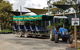 Day Tour Of Yarra Valley Puffing Billy And Rayners Orchard - thumb 17