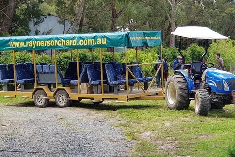 Day Tour Of Yarra Valley Puffing Billy And Rayners Orchard - Whitsundays Accommodation 48