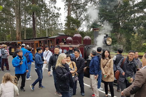 Day Tour Of Yarra Valley Puffing Billy And Rayners Orchard - Whitsundays Accommodation 18