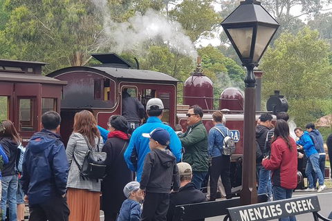 Day Tour Of Yarra Valley Puffing Billy And Rayners Orchard - Whitsundays Accommodation 40