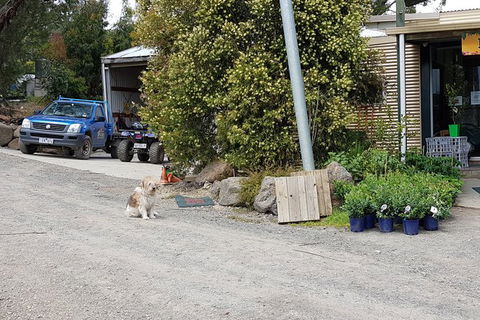 Day Tour Of Yarra Valley Puffing Billy And Rayners Orchard - Whitsundays Accommodation 6