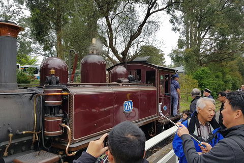 Day Tour Of Yarra Valley Puffing Billy And Rayners Orchard - Whitsundays Accommodation 28
