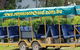 Day Tour Of Yarra Valley Puffing Billy And Rayners Orchard - thumb 33