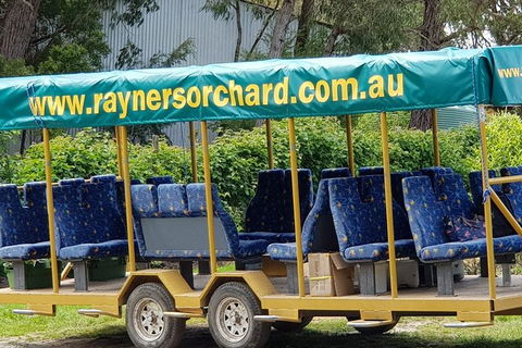 Day Tour Of Yarra Valley Puffing Billy And Rayners Orchard - Whitsundays Accommodation 33