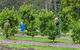 Day Tour Of Yarra Valley Puffing Billy And Rayners Orchard - thumb 1