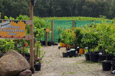 Day Tour Of Yarra Valley Puffing Billy And Rayners Orchard - Whitsundays Accommodation 22