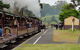 Day Tour Of Yarra Valley Puffing Billy And Rayners Orchard - thumb 0