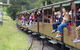 Day Tour Of Yarra Valley Puffing Billy And Rayners Orchard - thumb 13