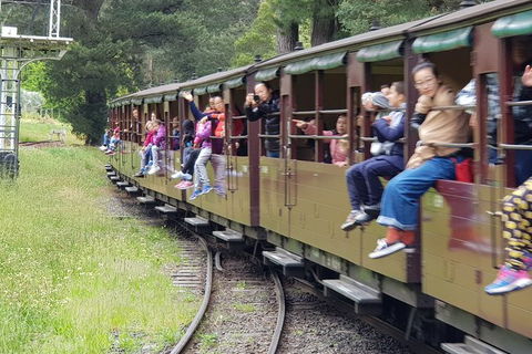 Day Tour Of Yarra Valley Puffing Billy And Rayners Orchard - Whitsundays Accommodation 13