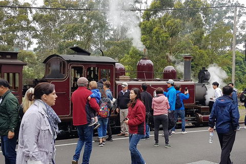 Day Tour Of Yarra Valley Puffing Billy And Rayners Orchard - Whitsundays Accommodation 4