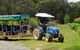 Day Tour Of Yarra Valley Puffing Billy And Rayners Orchard - thumb 25