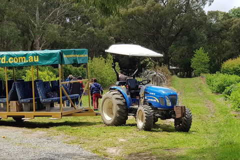Day Tour Of Yarra Valley Puffing Billy And Rayners Orchard - Whitsundays Accommodation 25