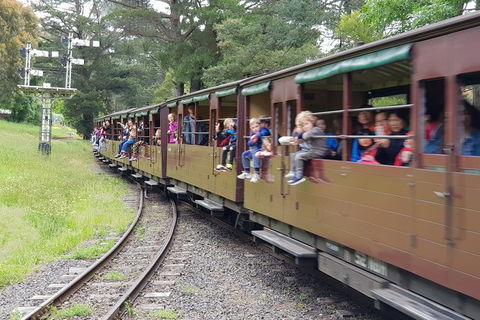 Day Tour Of Yarra Valley Puffing Billy And Rayners Orchard - Whitsundays Accommodation 24
