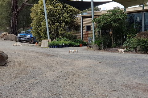 Day Tour Of Yarra Valley Puffing Billy And Rayners Orchard - Whitsundays Accommodation 26