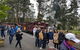 Day Tour Of Yarra Valley Puffing Billy And Rayners Orchard - thumb 9