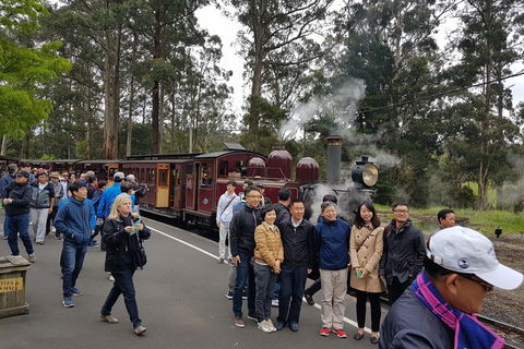 Day Tour Of Yarra Valley Puffing Billy And Rayners Orchard - Whitsundays Accommodation 9