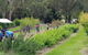 Day Tour Of Yarra Valley Puffing Billy And Rayners Orchard - thumb 29