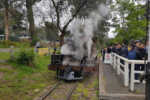 Day Tour Of Yarra Valley Puffing Billy And Rayners Orchard - Whitsundays Accommodation 43