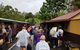 Day Tour Of Yarra Valley Puffing Billy And Rayners Orchard - thumb 27