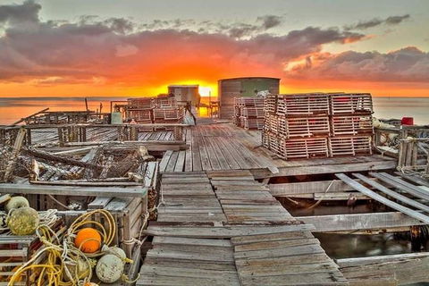 Abrolhos Islands 3 Day Fishing Charter - Whitsundays Accommodation 5