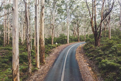 All Inclusive Surf Camp In Margaret River Region - Whitsundays Accommodation 2