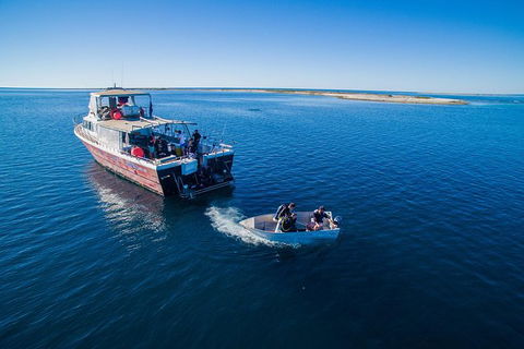 Abrolhos Islands 4 Day Fishing Charter - Whitsundays Accommodation 0