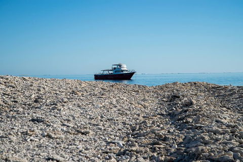 Abrolhos Islands 4 Day Fishing Charter - Whitsundays Accommodation 1