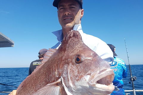 Abrolhos Islands 4 Day Fishing Charter - Whitsundays Accommodation 8