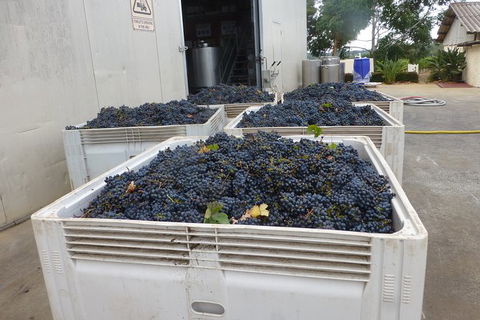 A Taste Of Margaret River Luxury Wine Tour - Whitsundays Accommodation 3