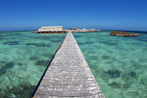 Abrolhos Islands 5 Day Tours - Whitsundays Accommodation 4