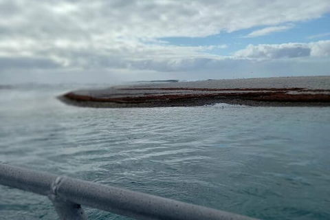 Abrolhos Islands Fishing Charter - Whitsundays Accommodation 6