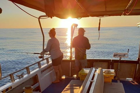 Abrolhos Islands Fishing Charter - Whitsundays Accommodation 8