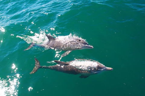 Sailing Kayak Adventure Through The Peel Harvey Estuary - Whitsundays Accommodation 1