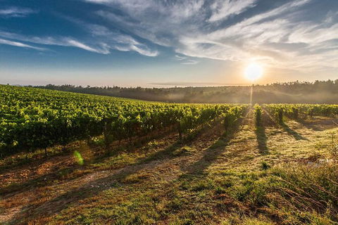 Perth To Margaret River Wine Tour - 2 Day Premium Boutique Wine Tour Experience - Whitsundays Accommodation 0