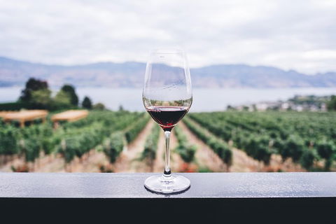 Full-Day Gourmet Wine Tour With Pick Up And Lunch - Whitsundays Accommodation 1