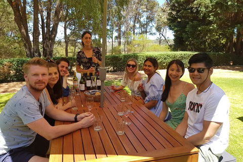 Full-Day Gourmet Wine Tour With Pick Up And Lunch - Whitsundays Accommodation 5