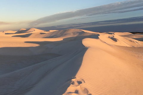 Pinnacles Desert Private Tour - Whitsundays Accommodation 2
