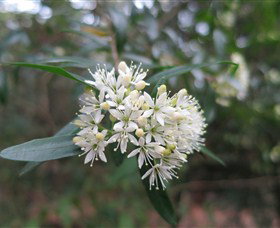 Bamarang NSW Whitsundays Accommodation