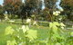 Barwon Ridge Wines - thumb 0