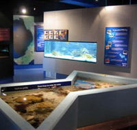 Marine and Freshwater Discovery Centre - Whitsundays Accommodation