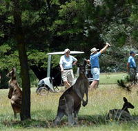 Glen Innes Golf Club - Whitsundays Accommodation