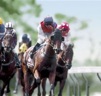 Colac Turf Club - Whitsundays Accommodation